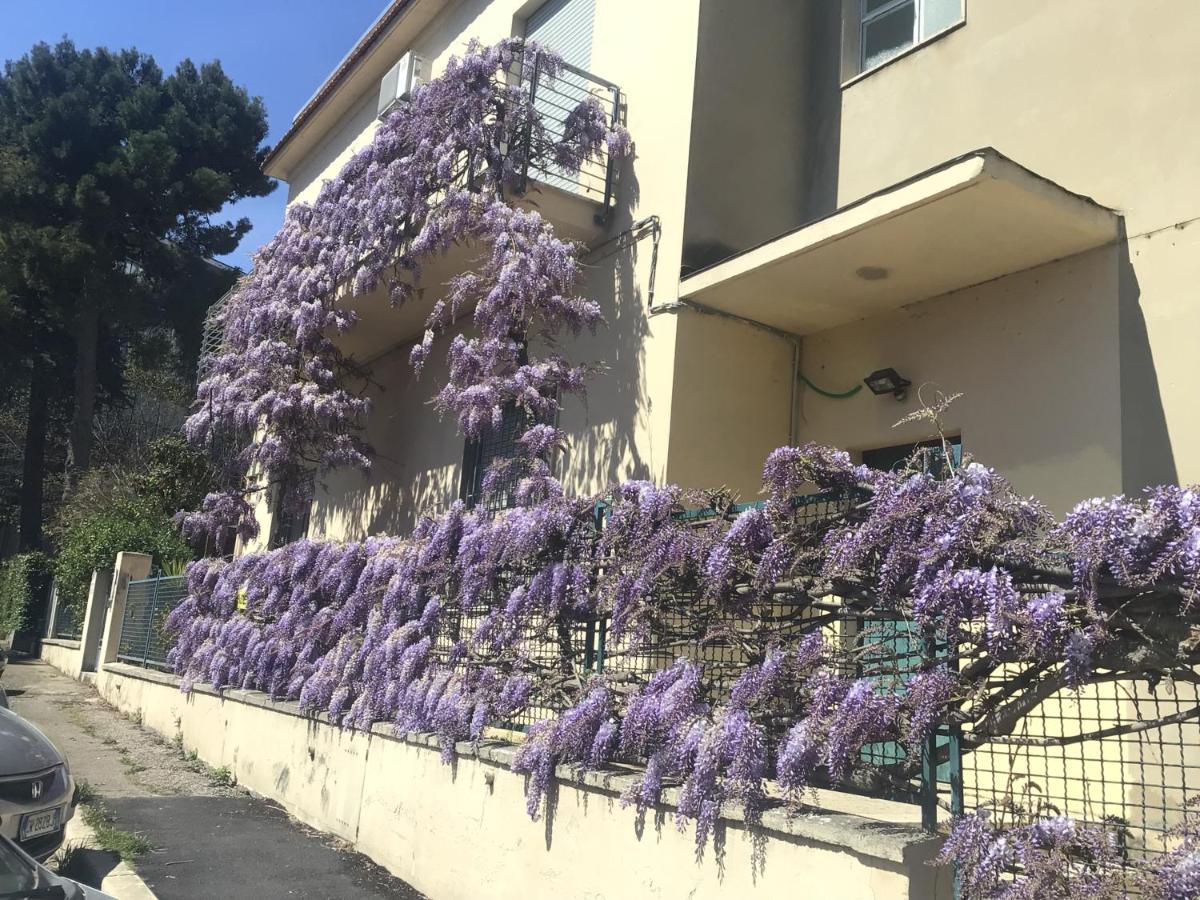 Appartamento il Glicine Pescara Centro Esterno foto